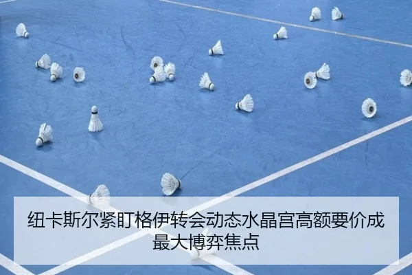 纽卡斯尔紧盯格伊转会动态水晶宫高额要价成最大博弈焦点